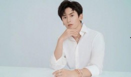 =明星明星公开道歉,真诚反思与公众形象的重建